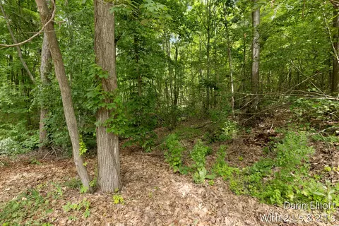 V/l Shady, Update, MI 48834 photo 8