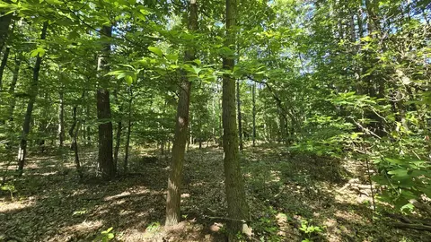 36 Th, Gobles, MI 49055 photo 6