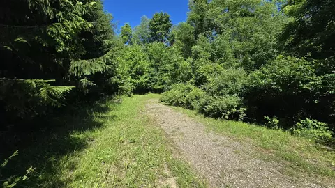 36 Th, Gobles, MI 49055 photo 3