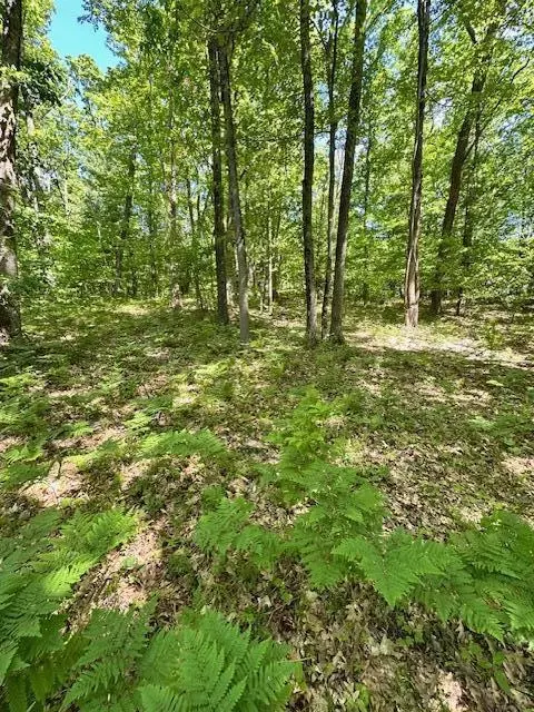 15 Mile, Big Rapids, MI 49307