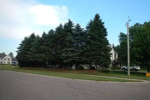 Vl South Demorrow, Stevensville, MI 49127