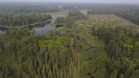 Parcel B Cherry Creek Trail, Grayling, MI 49738