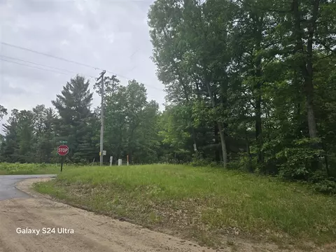 10513 N Peacock, Irons, MI 49644 photo 7