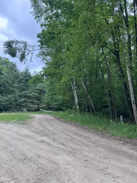 114 Bluff, Leroy, MI 49655