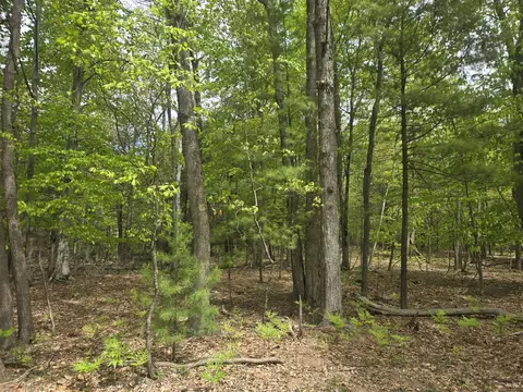 Vl 10 Acre N Ridge Road, Mears, MI 49436
