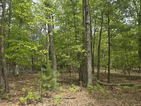 Vl 10 Acre N Ridge Road, Mears, MI 49436