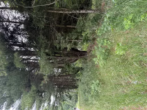 23250 W Wood Lk, Pierson, MI 49339