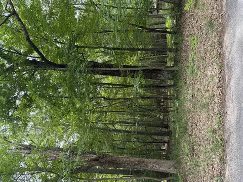 lot127 Wayne, Pentwater, MI 49449
