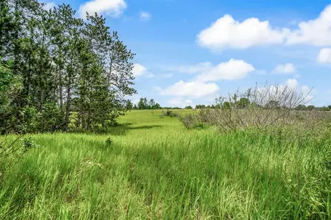 13751 Mackinaw, Leroy, MI 49655