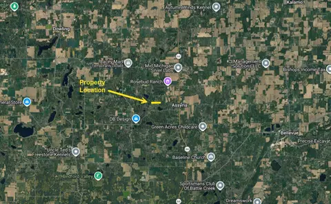 Cassidy, Bellevue, MI 49021 photo 12