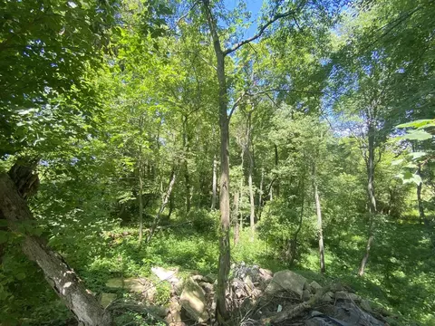 Cassidy, Bellevue, MI 49021 photo 4