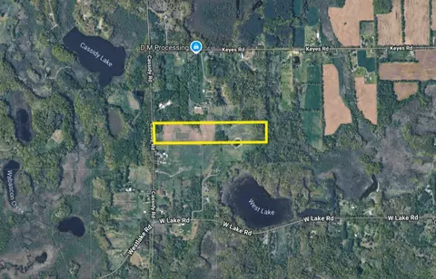 Cassidy, Bellevue, MI 49021 photo 11