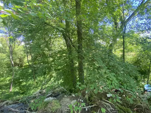 Cassidy, Bellevue, MI 49021 photo 6