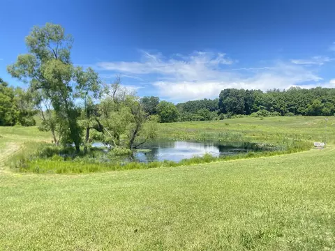 Cassidy, Bellevue, MI 49021 photo 3