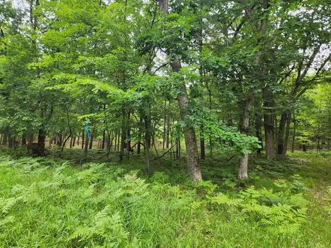 Vl Rebecca, Baldwin, MI 49304 photo 3