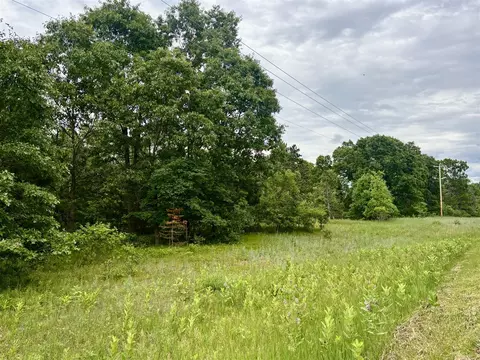 V/l Whitehall Rd, Whitehall, MI 49461