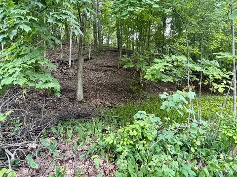 Spring, Sturgis, MI 49091 photo 2