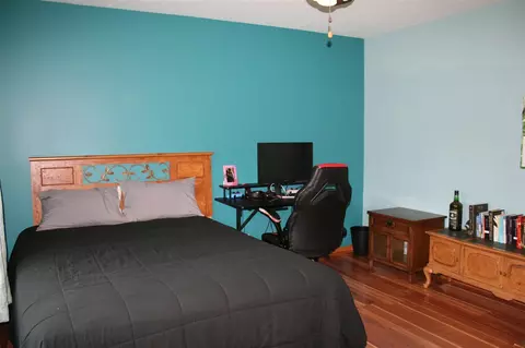 Bedroom - 14021 Pardee, Buchanan, MI 49107 photo 3 of 6