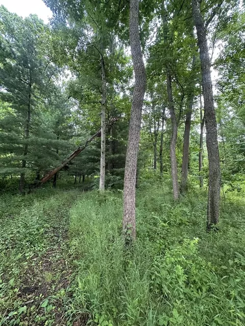 14765 Millard, Three Rivers, MI 49093 photo 7
