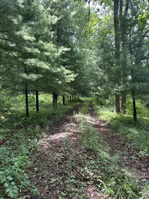 14765 Millard, Three Rivers, MI 49093 photo 3