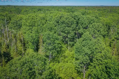 S North Hulbert, Hulbert, MI 49748 photo 15