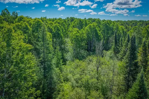 S North Hulbert, Hulbert, MI 49748 photo 9