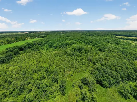 View/Area - 64030 Chain Lk, Cassopolis, MI 49031 photo 19 of 24