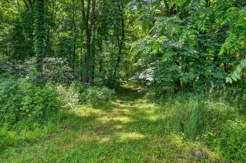 Exterior - 64030 Chain Lk, Cassopolis, MI 49031 photo 7 of 8