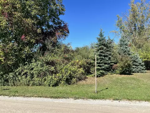 lot108 Stella, Custer, MI 49405 photo 3