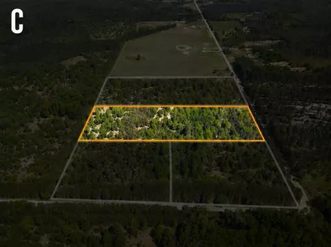 Parcel C Niemi, Kaleva, MI 49645
