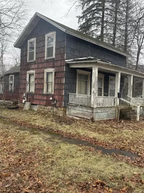 331 S Main, Bellevue, MI 49021 photo 3
