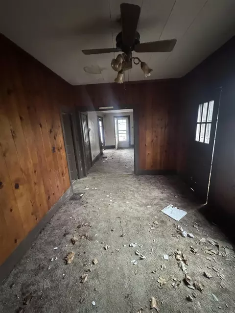 331 S Main, Bellevue, MI 49021 photo 8