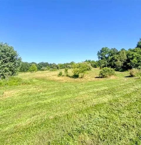 Other - 2311 E Glendora, Buchanan, MI 49107 photo 7 of 10