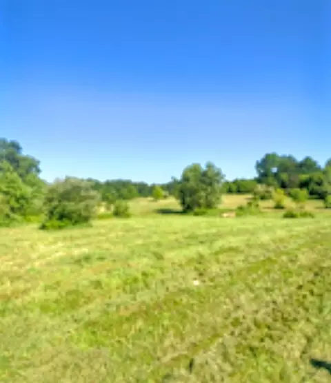 Other - 2311 E Glendora, Buchanan, MI 49107 photo 10 of 10