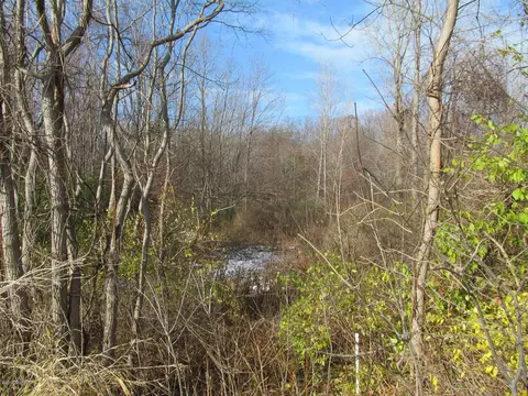 0 W Marquette Woods, Stevensville, MI 49127