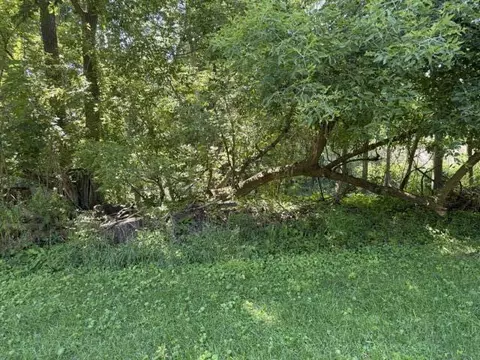 413 Brewer, Marshall, MI 49068 photo 3