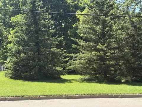 413 Brewer, Marshall, MI 49068 photo 5