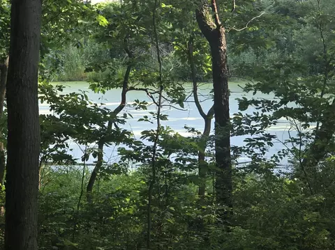 View/Area - 55942 Day, Marcellus, MI 49067 photo 6 of 7