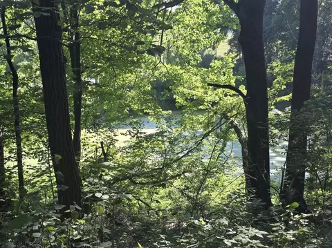View/Area - 55942 Day, Marcellus, MI 49067 photo 7 of 7