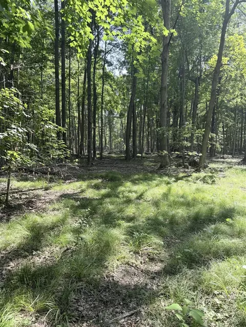 V/l Woods, Sidney, MI 48885 photo 7