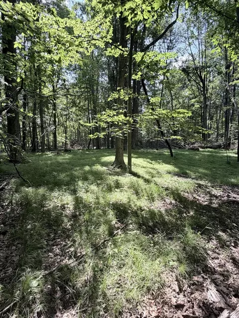 V/l Woods, Sidney, MI 48885 photo 14