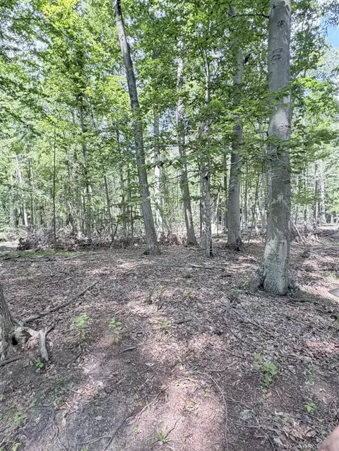 V/l Woods, Sidney, MI 48885 photo 9
