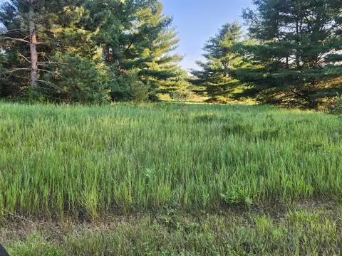 11535 Pierce #786, Canadian Lakes, MI 49346