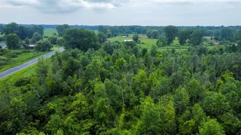 60196 County Road 376, Bangor, MI 49013