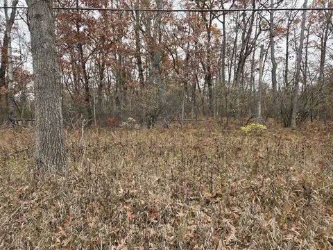 Woodbridge, Bitely, MI 49309 photo 2
