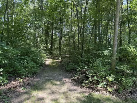 4909 Slayton, Jackson, MI 49201 photo 37