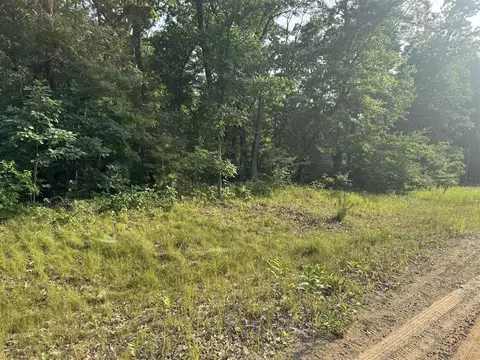 V/l E Washington, White Cloud, MI 49349 photo 3