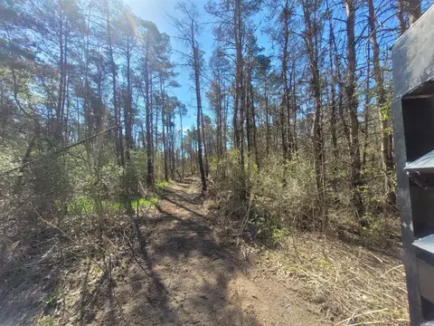 22851 Waterwheel, Pierson, MI 49339