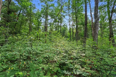 V/l E 40th, White Cloud, MI 49349 photo 15