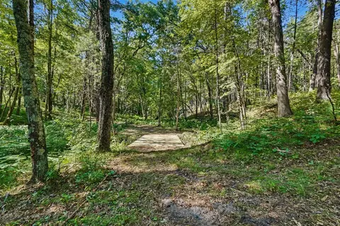 V/l E 40th, White Cloud, MI 49349 photo 2